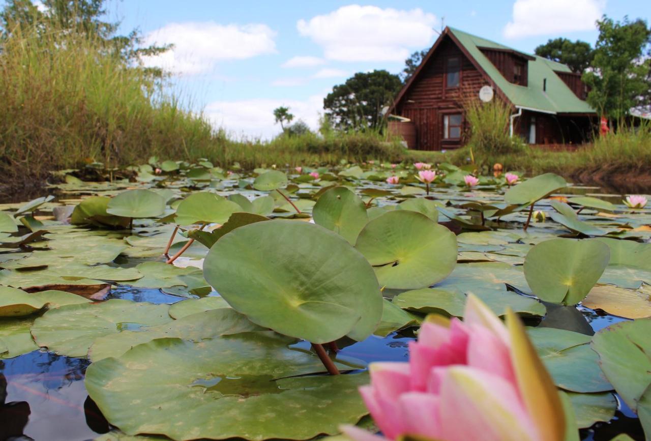 A Log Home At Buffalo Creek Swellendam Exterior foto